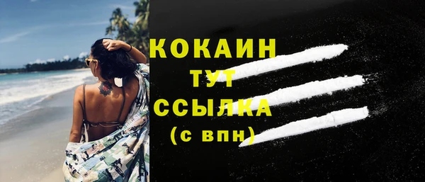 прущая мука Ельня