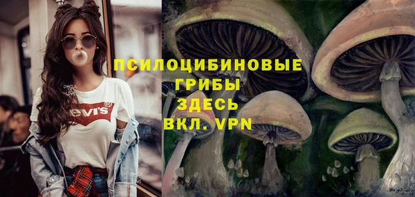 прущий лед Дмитров
