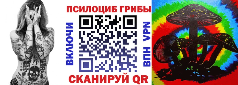 Псилоцибиновые грибы Psilocybe  закладки  Демидов 